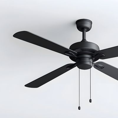 Ceiling Fan Installation